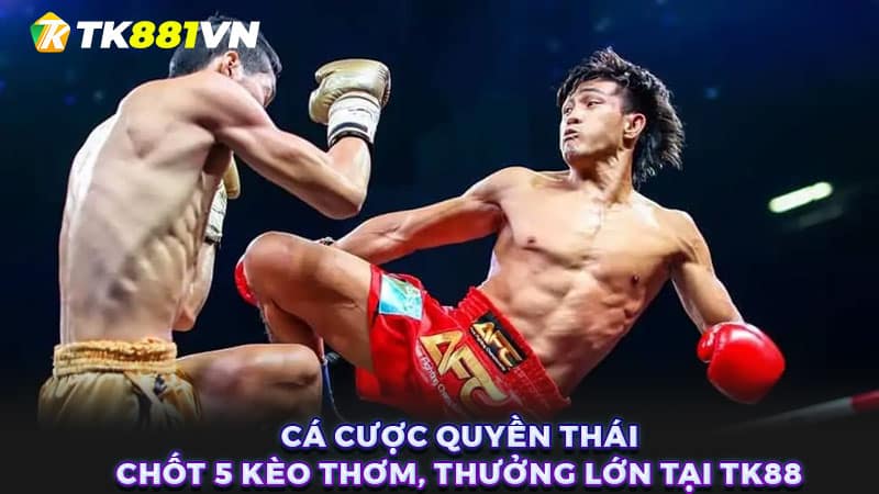 Cá cược quyền Thái - Chốt 5 kèo thơm, thưởng lớn tại TK88