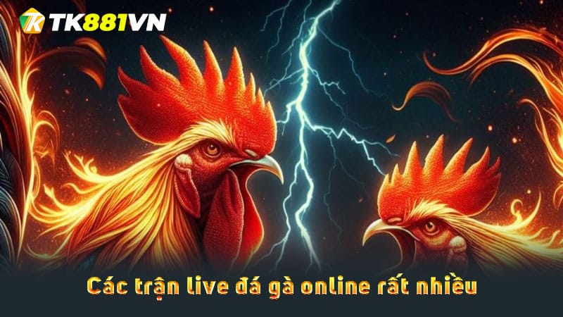 Các trận live đá gà online rất nhiều