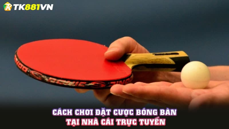 Cách chơi đặt cược bóng bàn tại nhà cái trực tuyến