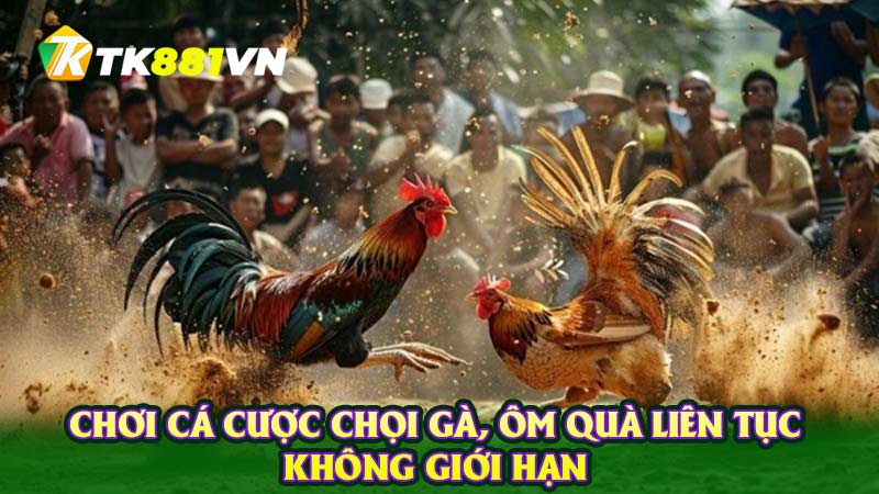 Chơi cá cược chọi gà, ôm quà liên tục không giới hạn