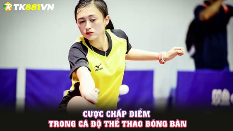 Cược chấp điểm trong cá độ thể thao bóng bàn