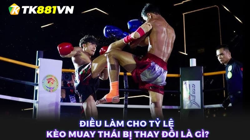 Điều làm cho tỷ lệ kèo Muay Thái bị thay đổi là gì?