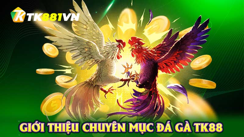 Giới thiệu chuyên mục đá gà TK88