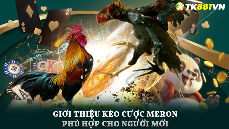 Giới thiệu kèo cược Meron - phù hợp cho người mới