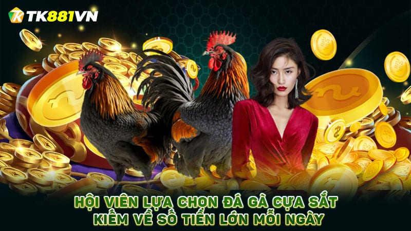 Hội viên lựa chọn đá gà cựa sắt kiếm về số tiền lớn mỗi ngày