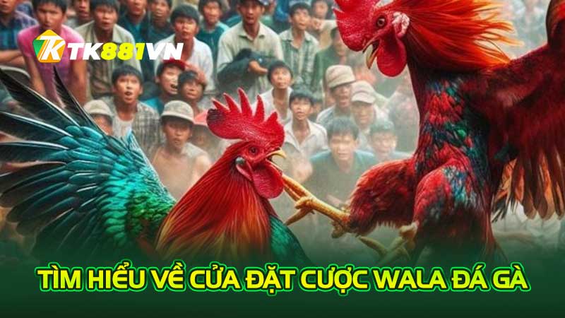 Tìm hiểu về cửa đặt cược Wala đá gà