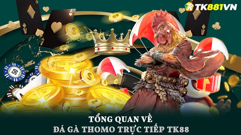 Tổng quan về Đá Gà Thomo trực tiếp TK88